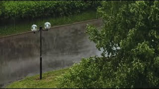 Tropical WIND on a RAINY Day-Rain and Thunder Sounds for SLEEP & Relaxation