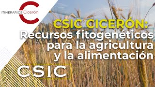 CSIC Cicero 19.3 Plant genetic resources for agriculture and food. Lucía de la Rosa