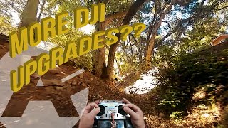 DJI FPV 50mbps DVR Superview'd & Graded 🔥
