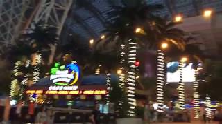 Chengdu: A Final Vlog