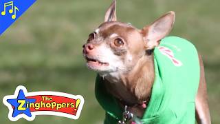 Kids Song About Chihuahuas! | Mini Dog | Cute Preschool Song About Small Dogs!