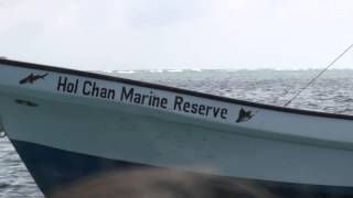 Hol Chan Marine Reserve part of Belize living