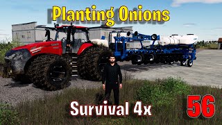 Ep 56 -  Planting Onions