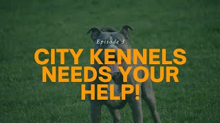 Episode 3: City Kennels Needs Your Help!