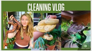 Reptile Keeping Vlog