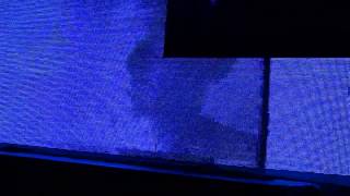 Chris Jones & Eller van Buuren - Intro Live @ Armada Fest Mexico