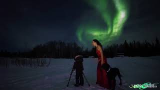 Warning! Sounds of pure excitement and joy! Wild night of Northern Lights in Alaska in Real-Time