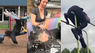 Random videos I watch at 2 a.m. #21