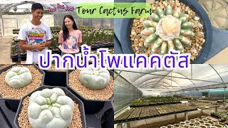Tour Cactus Farm: Pak Nam Po Cactus, a large garden in Nakhon Sawan Province, with a variety of s...