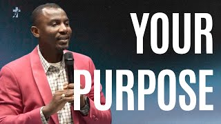In Christ Alone: Your Purpose | Acts 17:28