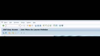Basic SAP Terms Part 1 (Part 2 to come August 17)