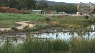 Mount Barker Environment Services Centre Wetlands