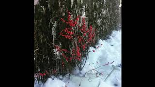 Adrifters -   dec2 live jam