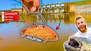 Fishing for Spillway MONSTERS w/ UNUSUAL Bait!! (HUGE Unexpected Fish)