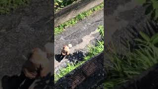 Grandma - is that a black hole?
