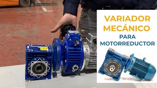 Motorreductor con variador mecánico