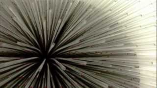 Lali Puna ~ Safe Tomorrow