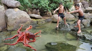 Wilderness Food - Found Octopus at the Beach