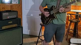 Vineham Vivid PAF Pickups 2