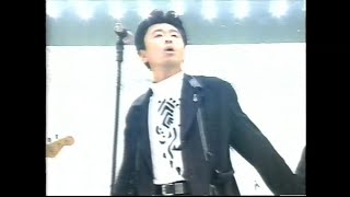素敵なバーディ～エロティカセブン～ サザンオールスターズ（1993年）