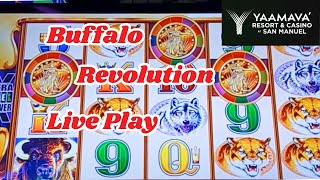 Buffalo Revolution Live Play