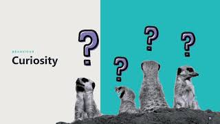 Alcemi: Housing Futures Webinar | Sarah Weller (?WhatIf! Innovation)