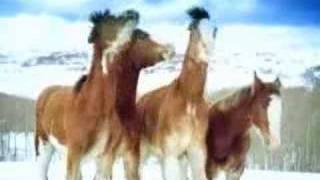 Horses Snowball Fight