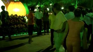 Festival dua Bentre 2012 lan III.