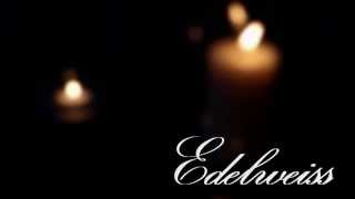 Edelweiss- Live in Concert - Adam Lopez