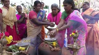 Pongal Vizha 15/01/2025 @DakshinaChitraMuseum