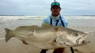 LIVE MULLET produced ANOTHER SILVER GHOST! Still in searching for that 100 lb KOB / MULLOWAY!
