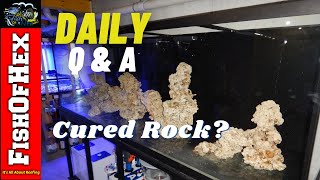 Can You Dry Scape Cured Live Rock Without Killing Off Bacteria? | Daily Q&A