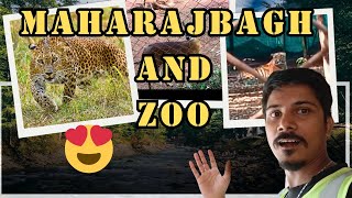 Exploring the AMAZING Maharajbagh Zoo!  in नागपुर MP ... tourist place