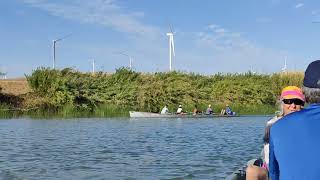 South End Rowing n Dolphin Club Rowing down the Delta 2024