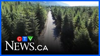 Push for an alternate route on Vancouver Island