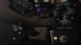 Anarchy Audio Deadwoods PEDAL DEMO