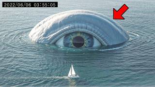 What This Drone Captured in the Middle of the Ocean Will Give You Nightmares