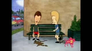 Beavis plays fetch