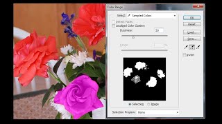 Module 1: Image Editing
