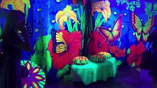 3d Glow Tents