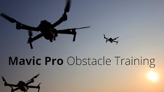 DJi MAVIC PRO OBSTACLE TRAINING - VLOG 20170823 #49
