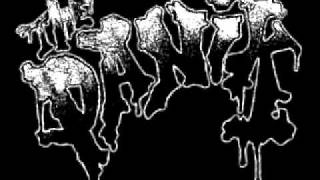 The Panix - way of life