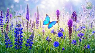 (NO ADS) RELAXING MUSIC FOR HEART & BLOOD VESSELS 🌿 – Soothe Anxiety & Heal Mind & Body
