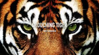 Crouching Tiger / Trap Music /Trap Beat instrumental/Prod By Brooklyn.Liu$ (Official music video）