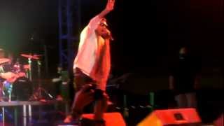 Wiz Khalifa - Young, Wild, and Free (Live! @ 2012 NSN Festival)