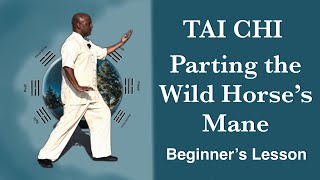 Tai Chi Basics: Master 'Parting the Wild Horse's Mane' with Yang Style Precision