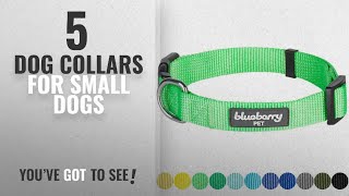 Top 5 Dog Collars For Small Dogs [2018 Best Sellers]: Blueberry Pet 32 Colors Classic Dog Collar,