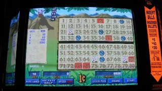IGT GameKing Poker Keno (41 game)