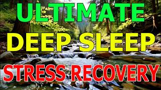 1 Hour ASMR Nature Music 🌿 Ultimate Deep Sleep & Stress Relief (No Interruptions)