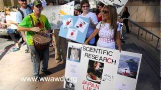 Worldwide Anti Whaling Day, Los Angeles Ca. 2010